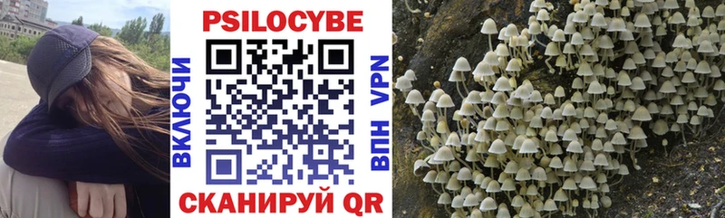 блэк спрут зеркало  Лобня  Галлюциногенные грибы Psilocybine cubensis  закладки 